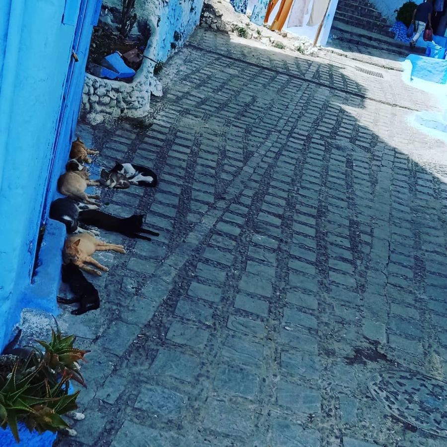 Casa Mablu Apartment Чефчауен Екстериор снимка